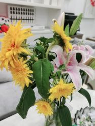 -SOR索尔祛痘·面部肌肤管理