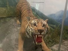 -国家自然博物馆