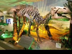 -甘肃地质博物馆