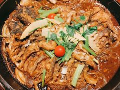 -老板恋上鱼(高新万达店)