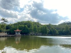 -深圳仙湖植物园