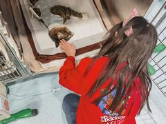 -萌兽医馆·犬猫专科·眼科中心·宠物医院(朝阳门分院)