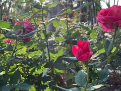 -人民公园(罗湖区)