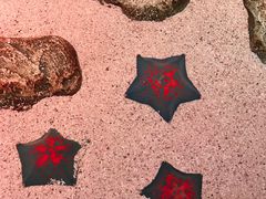 -沈阳海洋探索中心