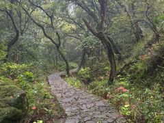 -宁波市保国寺古建筑博物馆