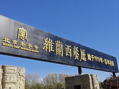-维兰西餐(万泉河店)
