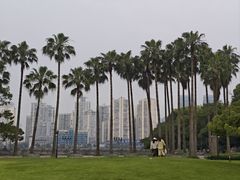 -江心屿景区