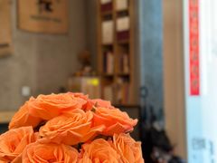 -Infica Coffee