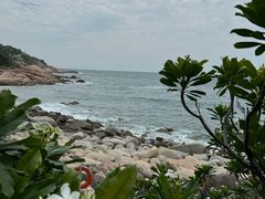 -广东惠东海龟国家级自然保护区