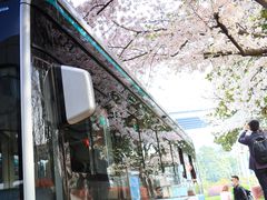 -南浦大桥长途旅游客运站