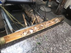 -竹泉农庄·竹筒饭(从化店)