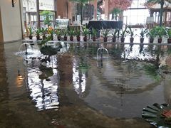 -厦门帝元维多利亚大酒店(环岛路黄厝海滩店)