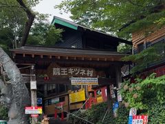 -宫城藏王狐狸村