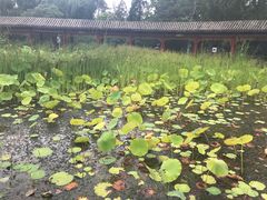 -满都海公园