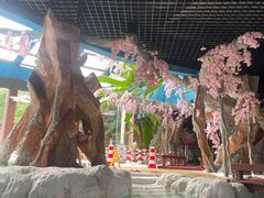 -中铁花水湾四季温泉谷