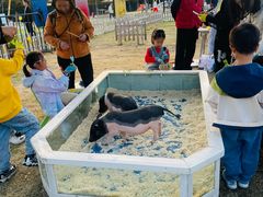 -季高兔窝窝亲子园(上海薰衣草公园店)