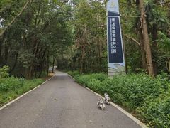 -青龙山国家森林公园
