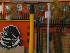 -三里屯东五街银杏大道