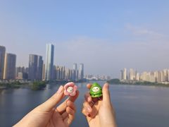 -梅溪湖城市岛