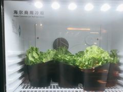 -九田家黑牛烤肉料理(新辰里亚运村店)