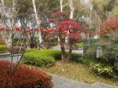 -湖滨客舍·湖北菜