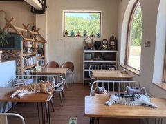 -小时光咖啡馆(开森度假森林店)