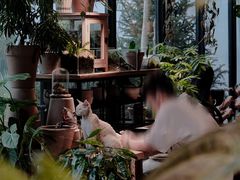 -自由生长植物工作室(深港花卉中心店)