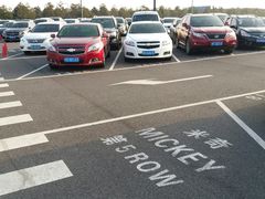 -迪士尼乐园停车场