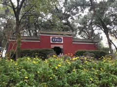 -子昂故里文化旅游区