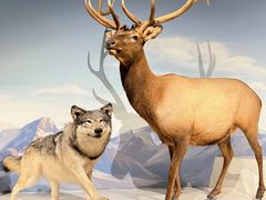 -陕西自然博物馆