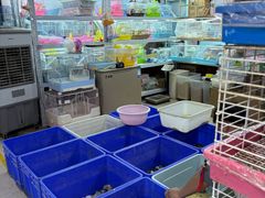 -青石桥花鸟鱼虫市场(叠翠城店)