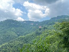 -莫干山风景区