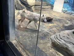 -梦幻海洋王国(吾悦广场张家港店)