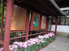 -汇龙潭