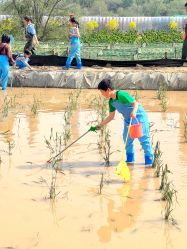 -浅山蜜塘奇妙乐园·亲子营地