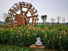 -那考河湿地公园