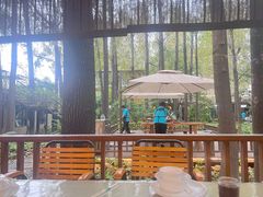 -林间山庄