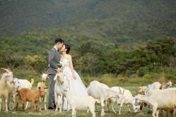 -麦田·婚纱摄影(天河新天地店)