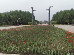 -长春公园(普阳街道)