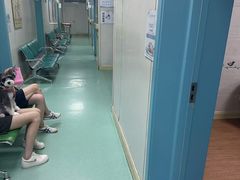 -北京观赏动物医院·24小时大型综合·猫专科·异宠专科