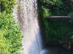 -梁野山景区
