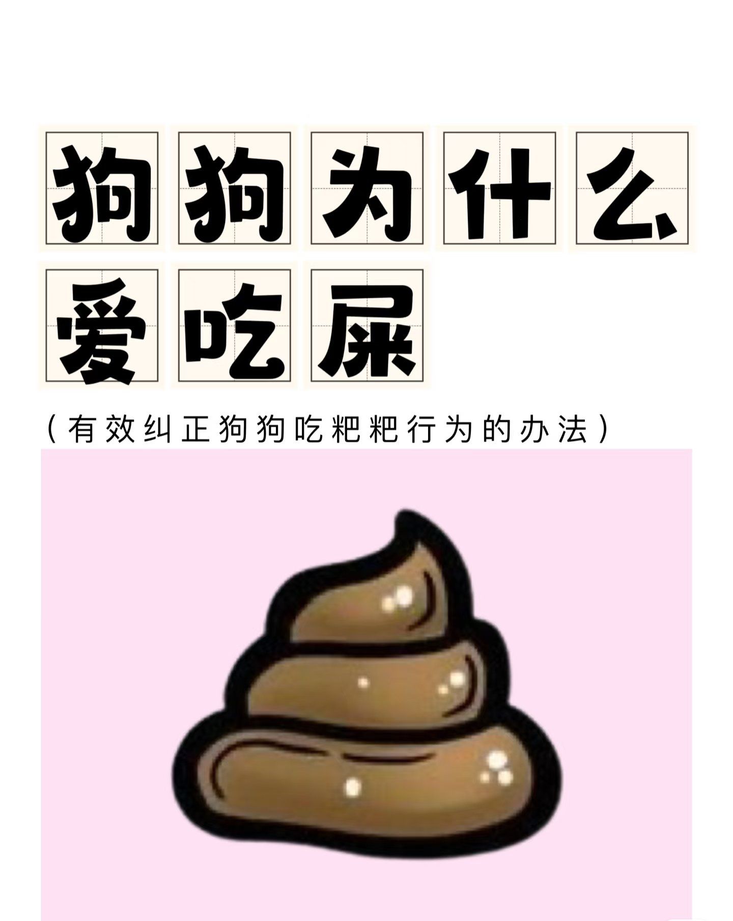 狗狗为什么喜欢吃屎