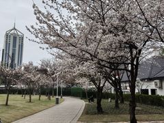 -新虹桥中心花园
