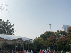 -南翠屏公园