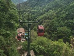 -王顺山国家森林公园