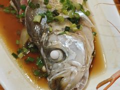 清蒸白条鱼-百家鲜·杭帮菜