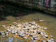 -南岳大庙