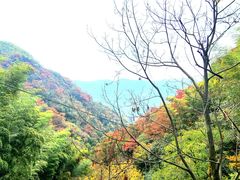 -藏龙百瀑风景区