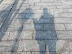 -上海山野camping·户外天幕烧烤·团建拓展营地