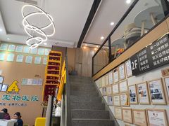 -半岛宠物医院24小时·内窥镜·牙科·碎石中心(府城大道店)